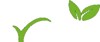 Frentis Healthcare